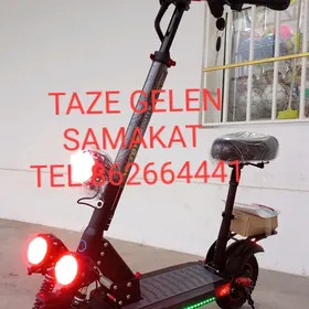 TOKLY SAMAKAT TAZE MADEL