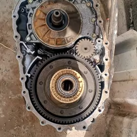 versa koropka