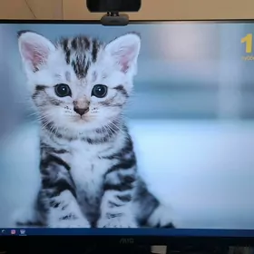 monitor 27 AOS