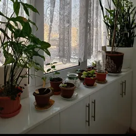 Шкаф на балкон