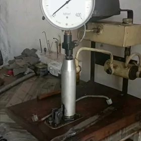 Topliwnoy parsunka barlanyan