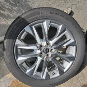 higlander limited diska.