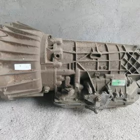 5 hp24