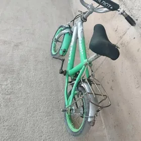 1yuzlik velik