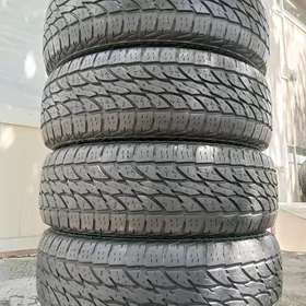 Ecolander 225 70 16 A/T