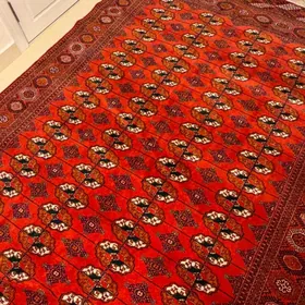 Haly Ковёр