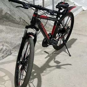 sportiwny tigir