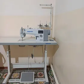 SGGEMSY
