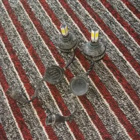 led çyra