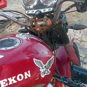 Fekon FK150-8G 2017