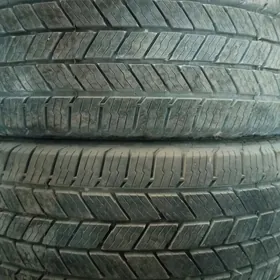 245/55/19 tigir