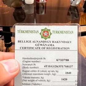 teh pasport