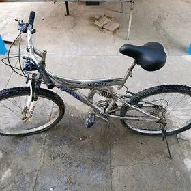 Tigr Rambo 26-lyk