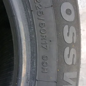 225 60 17