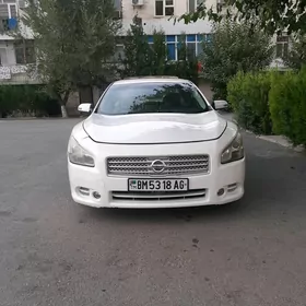 Nissan Maxima 2010
