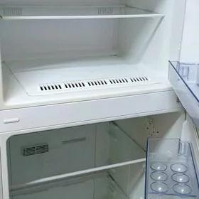 beko haladinlik