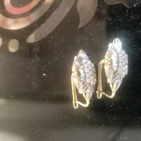 sepoçka bujeterıya turkınkı