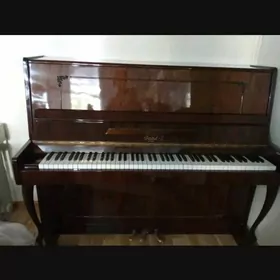 pionina