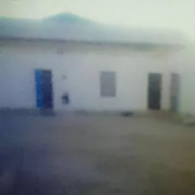 Şatlyk  jay