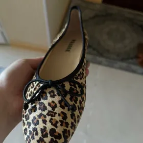 Taze leopard  balet