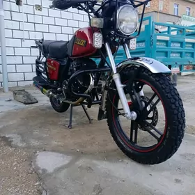 Fekon FK200-14G 2023