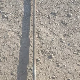 zil  tiyaga