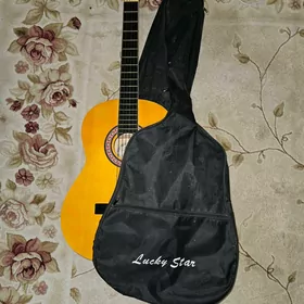 Gitar Amerikan Focus