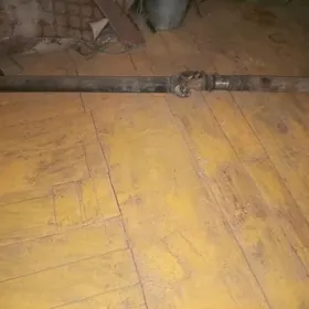 kiçi ziliň kardany