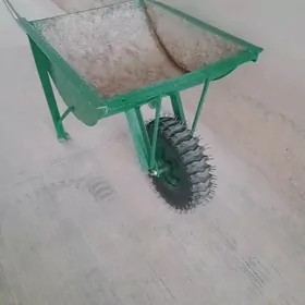 taçka galtak