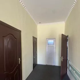 КОНЕ ГУЛИСТАН УЧАСТКА
