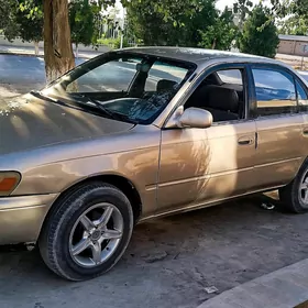 Toyota Corolla 1996