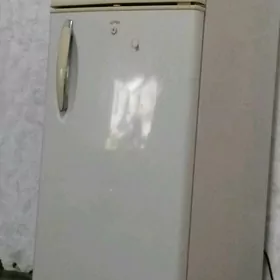 LG HALADYNLIK