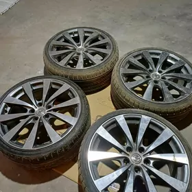 limited diska R19