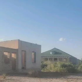 16sotuk