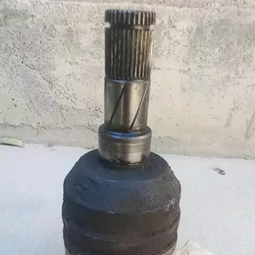 OPEL  granat damkyrant