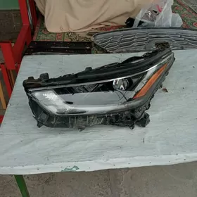 Haylandr onki fara çep tarap