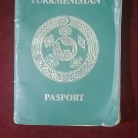 pasport yitdi