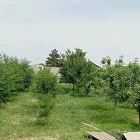 40 ýyllyk jaý Büzmeýin