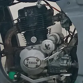 Fekon FK200-14G 2020