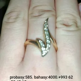gadymy gyzyllar