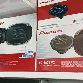 Pioneer kalonka