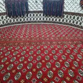 Haly gyzyl golli