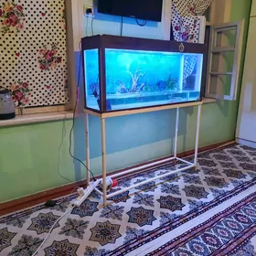 AKWARIN