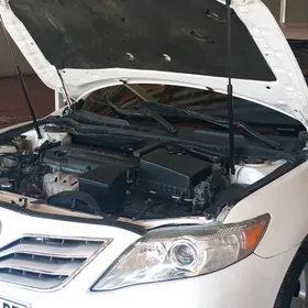 Toyota Camry 2010