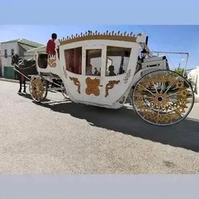 Paytun aty bilen