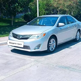 Toyota Camry 2013