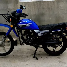 Fekon FK150-8G 2014