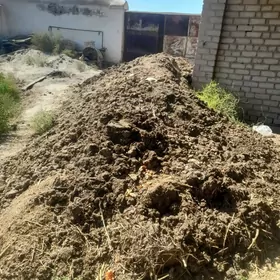 sygyr dersi