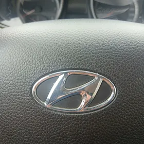 Hyundai Santa Fe 2013