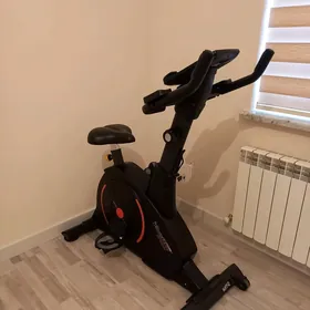 Sport tigir